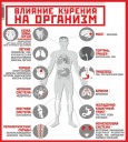 Свобода выбора — это не дым Свобода выбора — это не дым