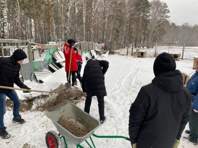 Добрые руки – мягким лапам