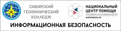 Добровольческая деятельность