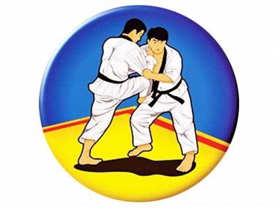 Открытая тренировка по дзюдо