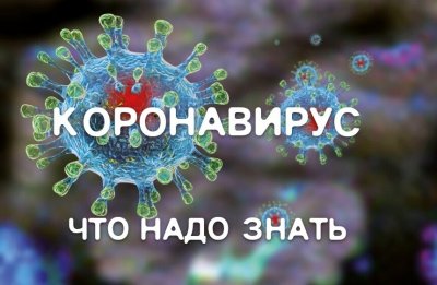 7 шагов по профилактике новой коронавирусной инфекции