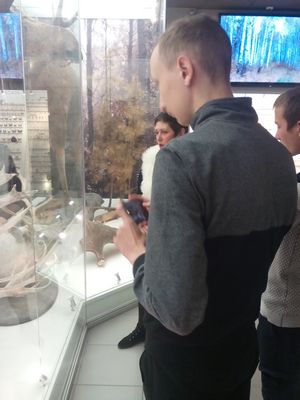 Будущие геологи и геофизики посетили  Отдел природы краеведческого музея Новосибирска